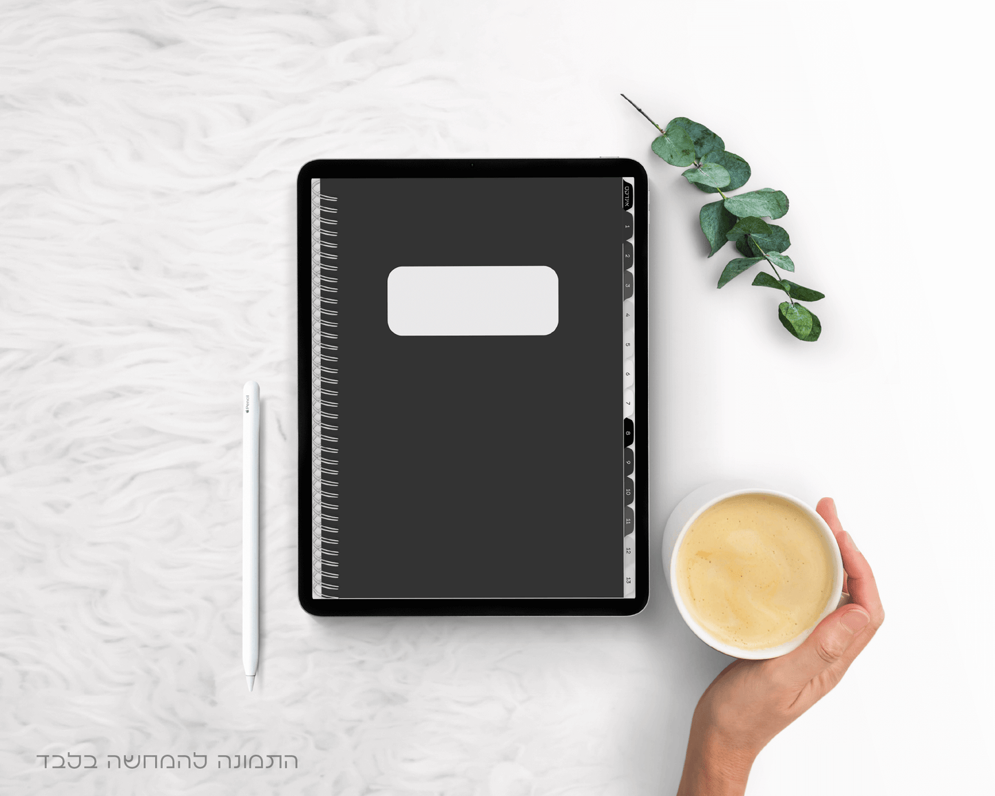 סט של 3 מחברות דיגיטליות | הדפס נשים | שורות צר | 13 חוצצים