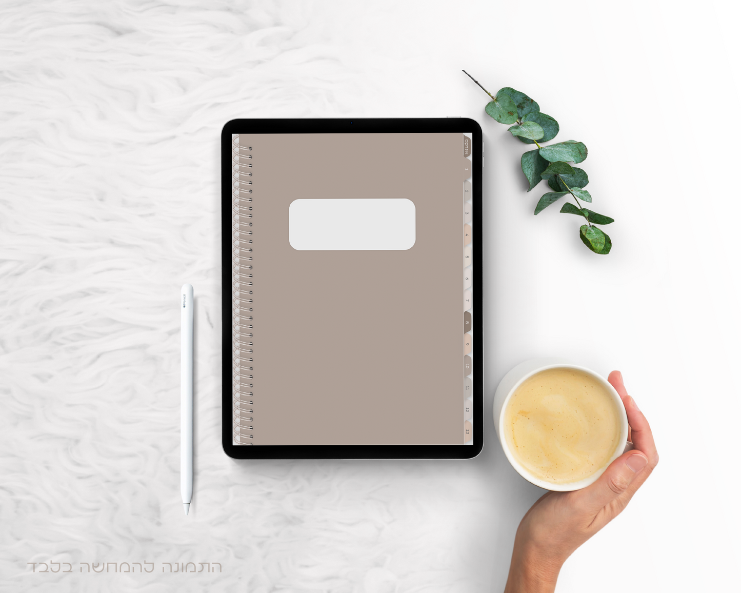 סט של 3 מחברות דיגיטליות | הדפס נשים | משבצות | 13 חוצצים