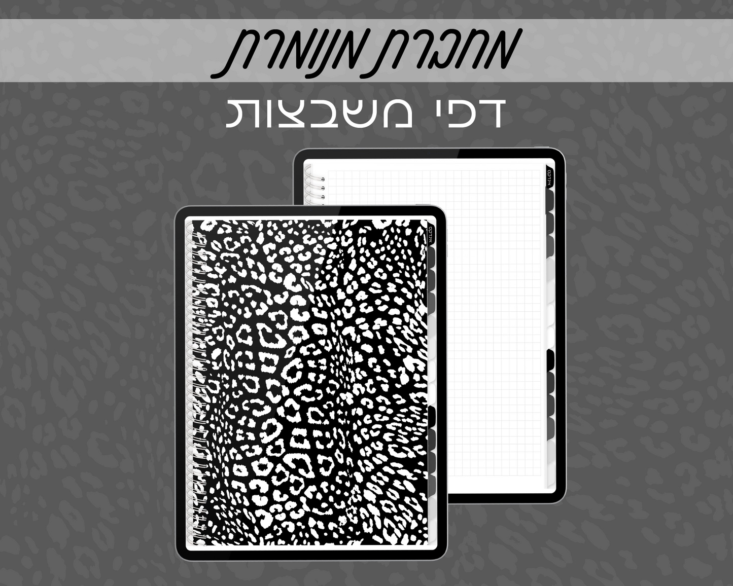 מחברות מנומרות | משבצות | 13 חוצצים עם 50 תתי נושאים