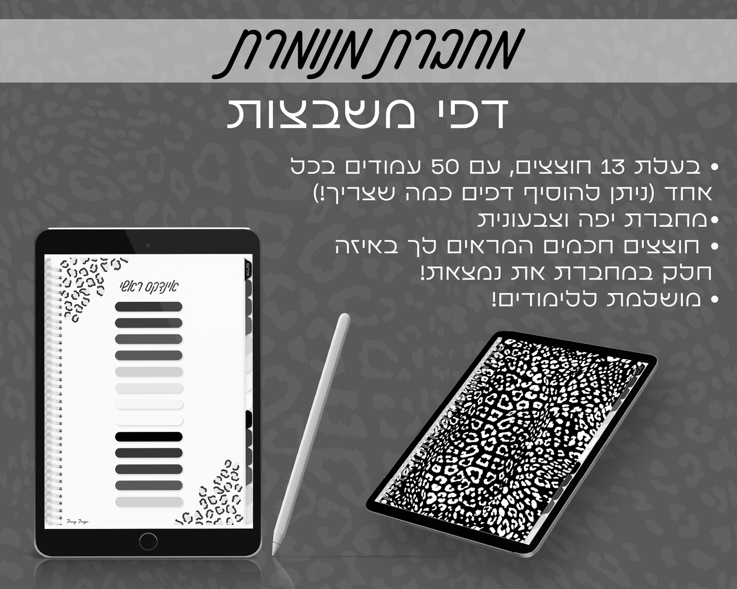 מחברות מנומרות | משבצות | 13 חוצצים עם 50 תתי נושאים